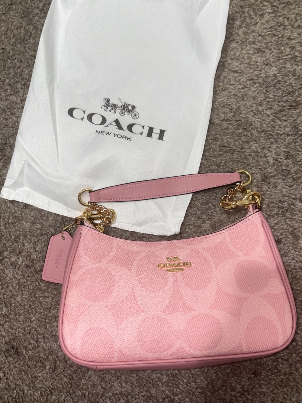 Pink Coach teri bag
